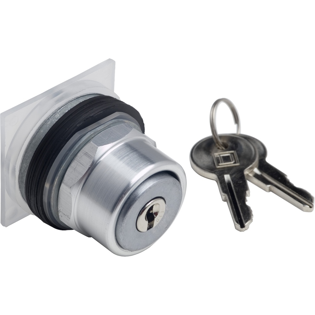 SCHNEIDER ELECTRIC 9001KR131