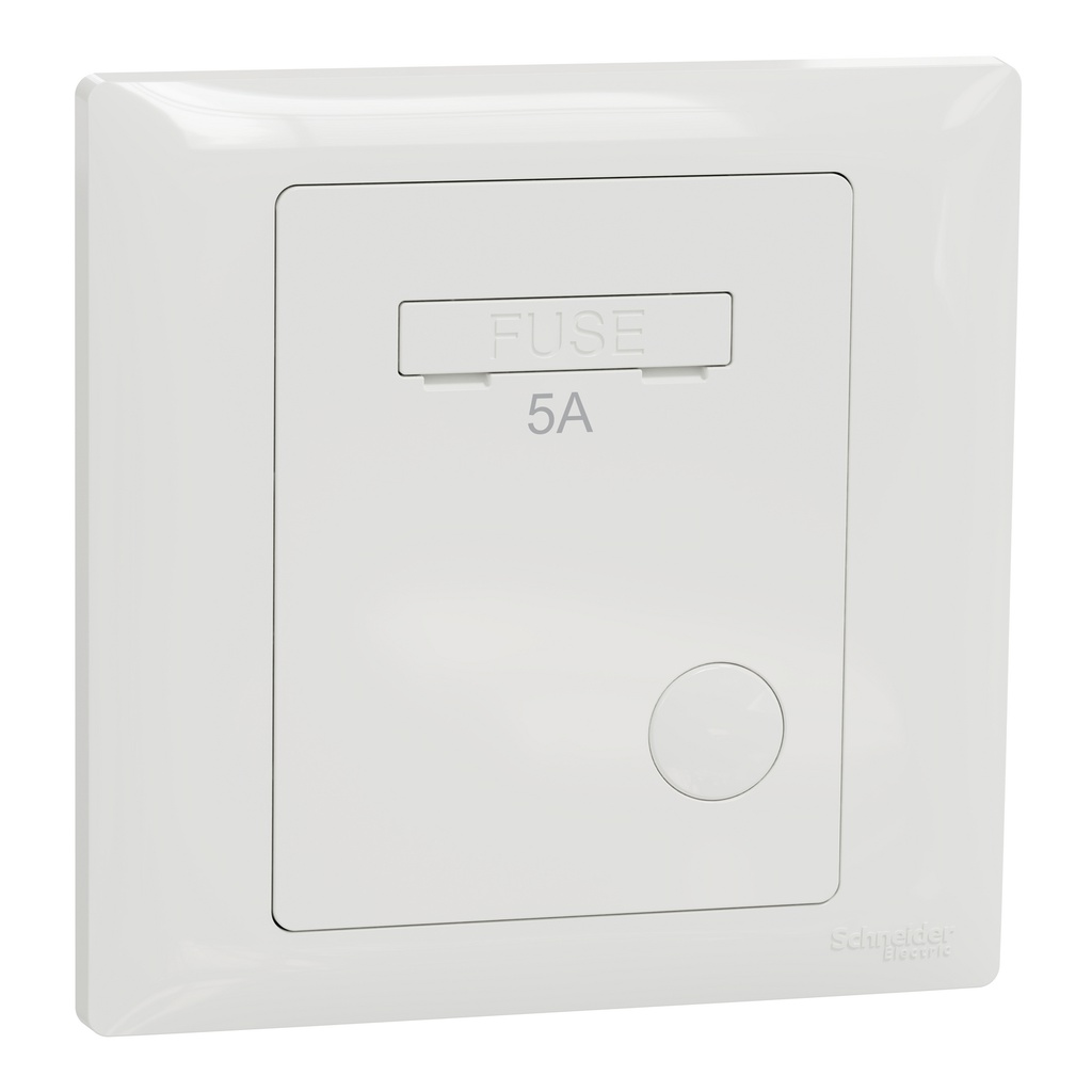 SCHNEIDER ELECTRIC A3GN30FSG_5A_WE