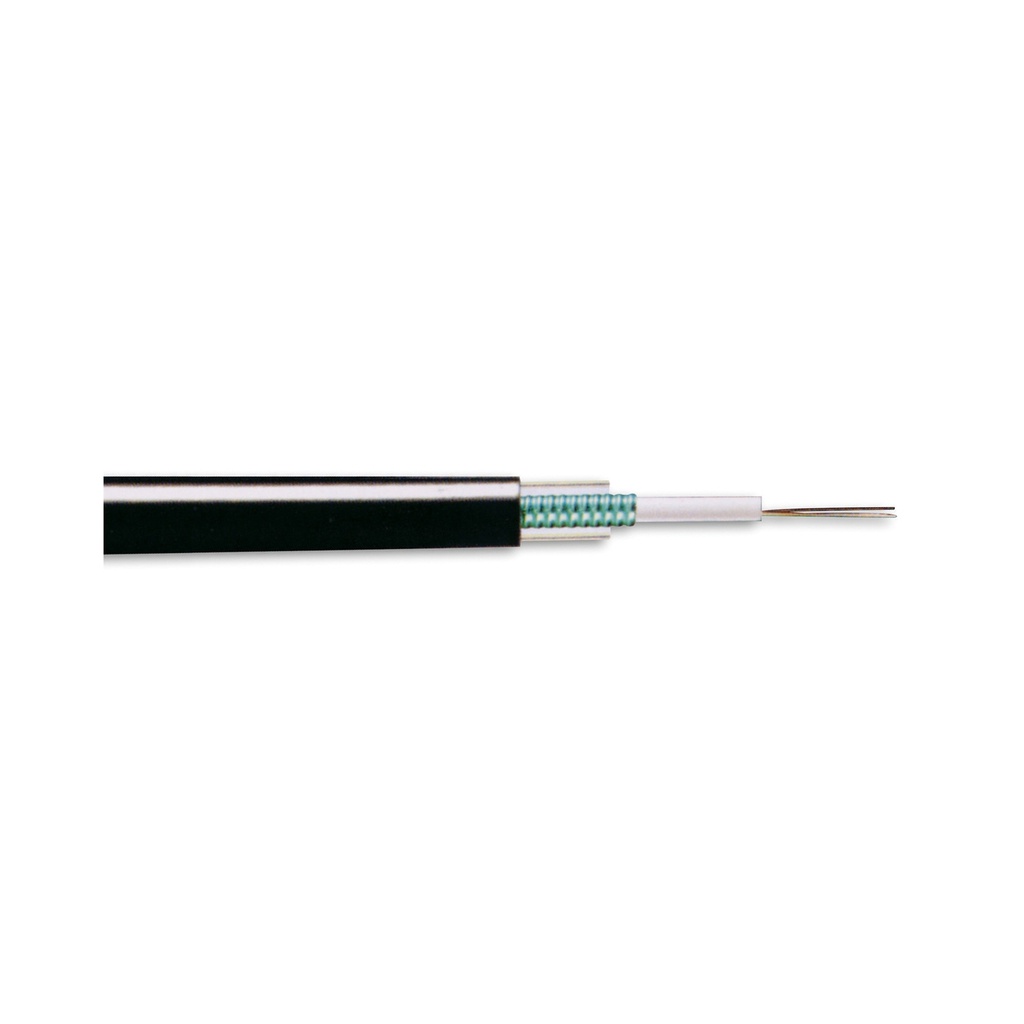 SCHNEIDER ELECTRIC ACTUDUTLA06SM9