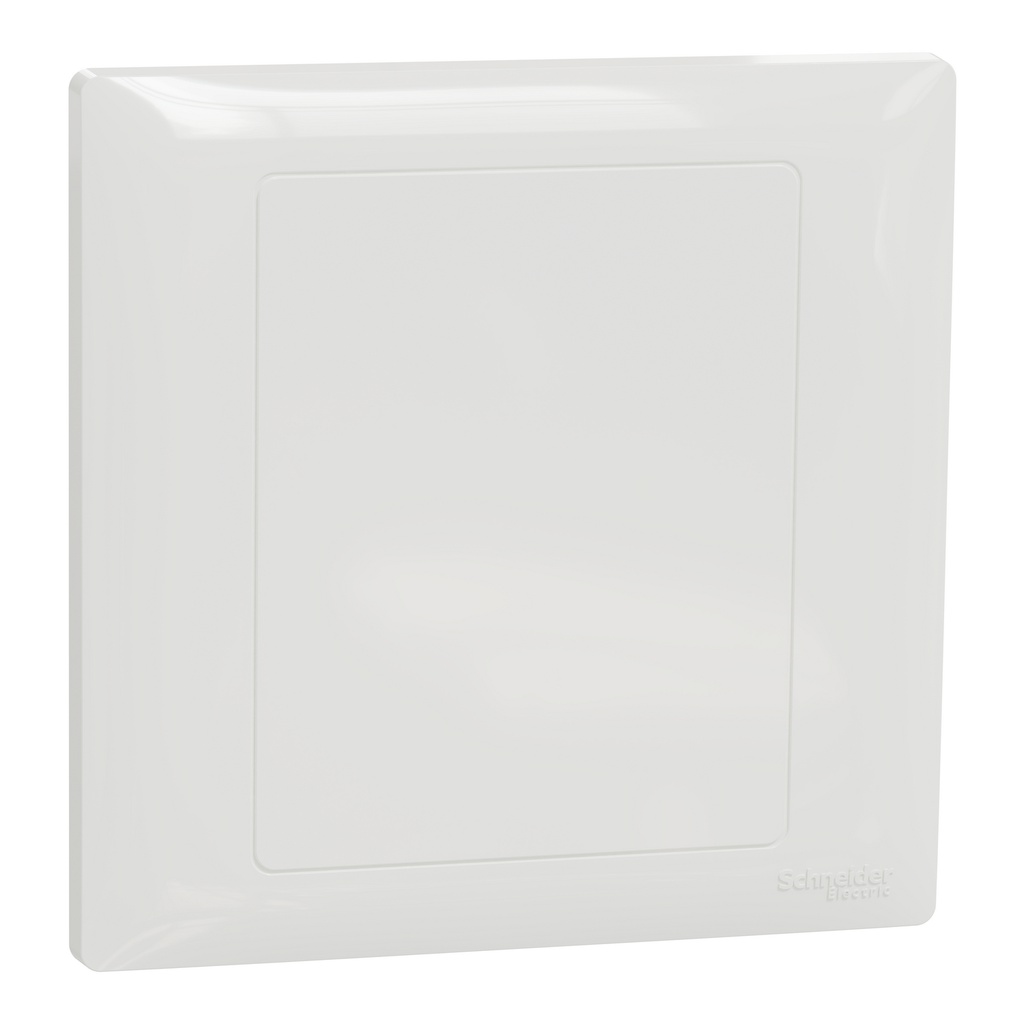 SCHNEIDER ELECTRIC SE.A3GN30_WE